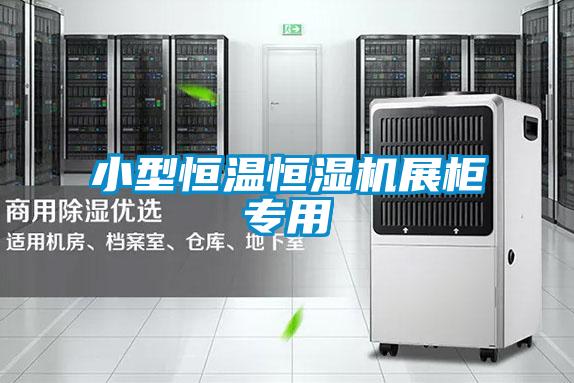 小型恒溫恒濕機(jī)展柜專(zhuān)用