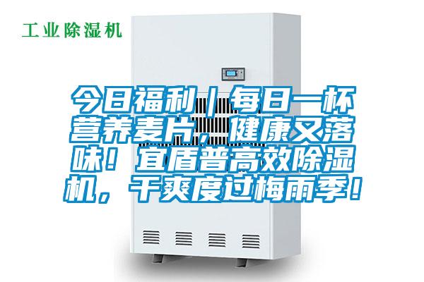 今日福利|每日一杯營養(yǎng)麥片,健康又落味!宜盾普高效除濕機,干爽度過梅雨季!