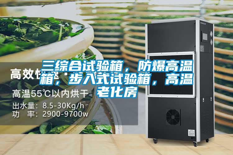 三綜合試驗(yàn)箱，防爆高溫箱，步入式試驗(yàn)箱，高溫老化房