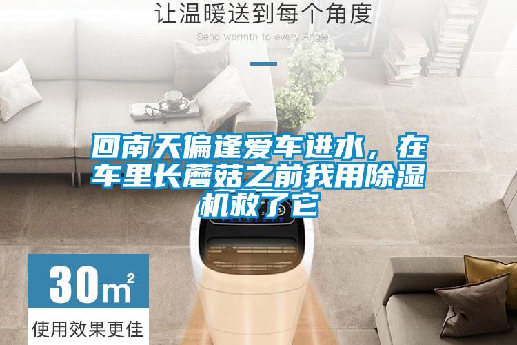 回南天偏逢愛車進水，在車里長蘑菇之前我用除濕機救了它