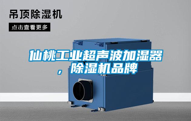 仙桃工業超聲波加濕器，除濕機品牌