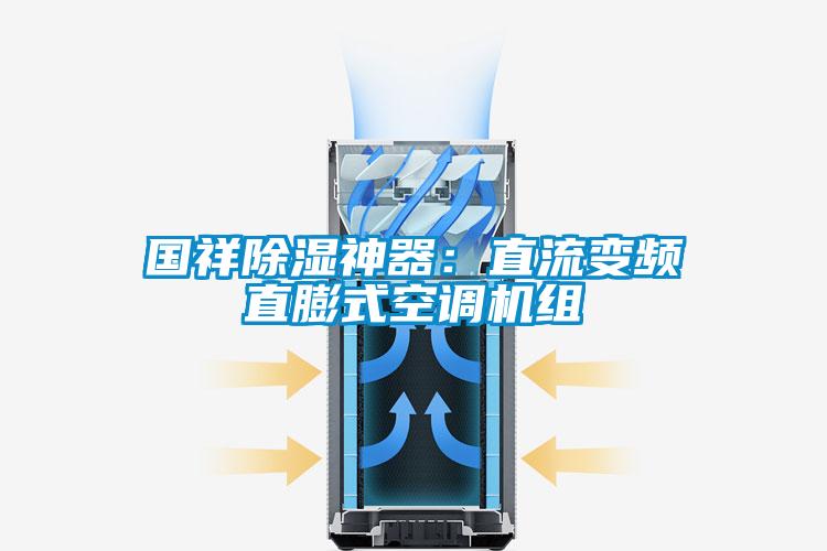 國祥除濕神器：直流變頻直膨式空調(diào)機(jī)組