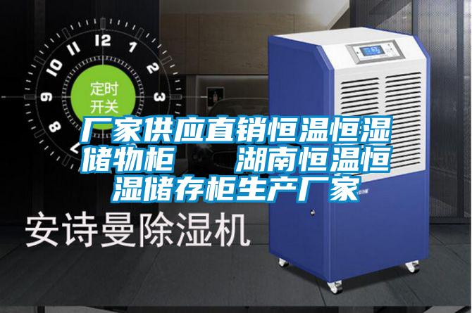 廠家供應直銷恒溫恒濕儲物柜 湖南恒溫恒濕儲存柜生產廠家