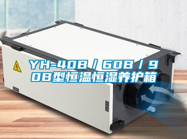 YH-40B/60B/90B型恒溫恒濕養(yǎng)護箱