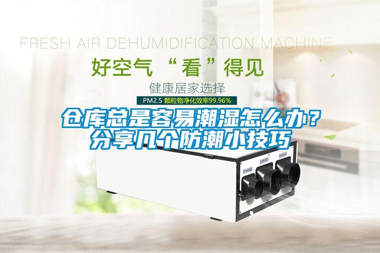 倉庫總是容易潮濕怎么辦？分享幾個防潮小技巧