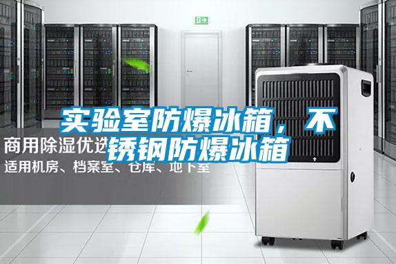 實(shí)驗(yàn)室防爆冰箱,不銹鋼防爆冰箱