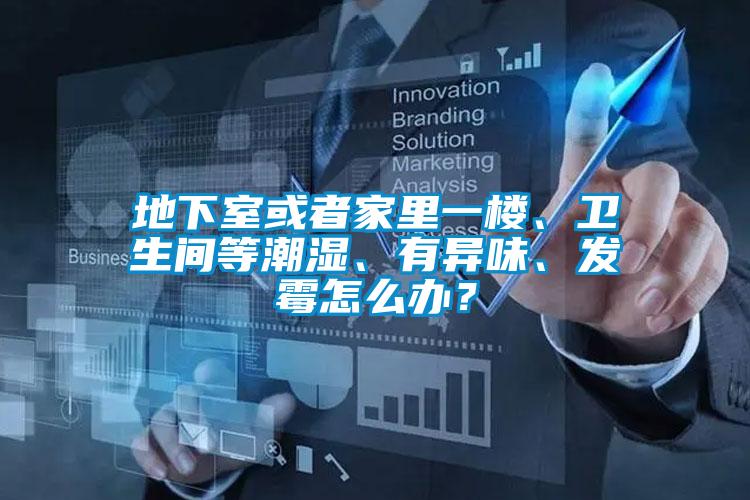 地下室或者家里一樓、衛生間等潮濕、有異味、發霉怎么辦？