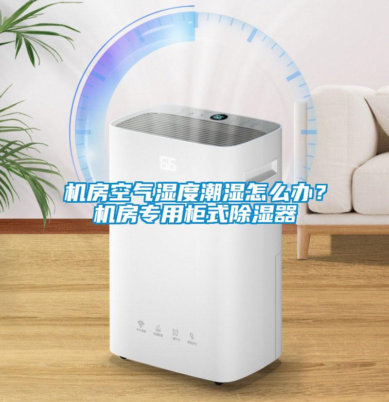 機(jī)房空氣濕度潮濕怎么辦？機(jī)房專用柜式除濕器