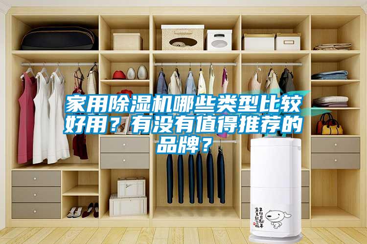 家用除濕機哪些類型比較好用？有沒有值得推薦的品牌？