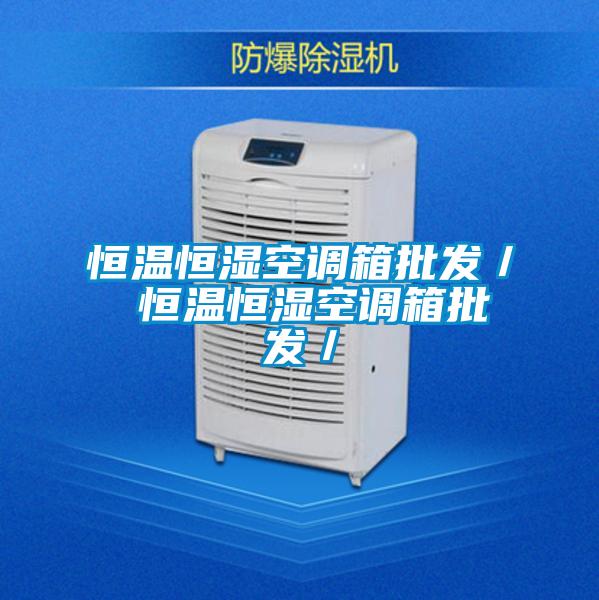 恒溫恒濕空調(diào)箱批發(fā)/ 恒溫恒濕空調(diào)箱批發(fā)/