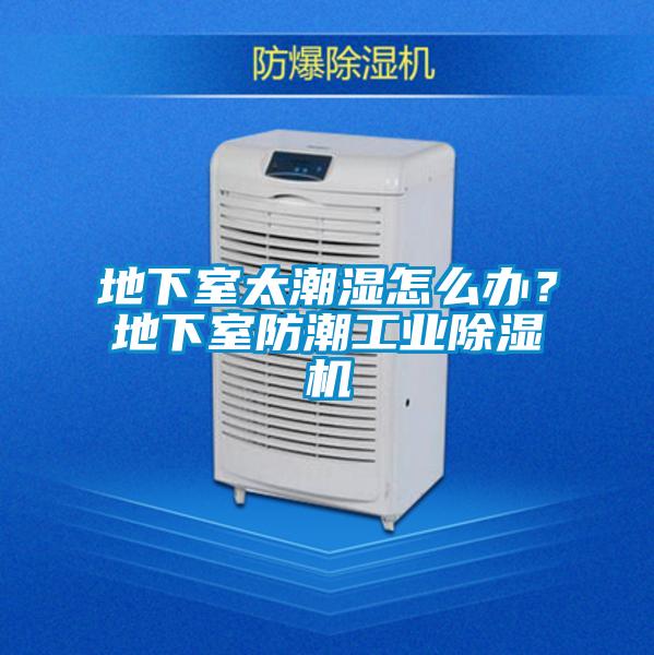 地下室太潮濕怎么辦？地下室防潮工業除濕機