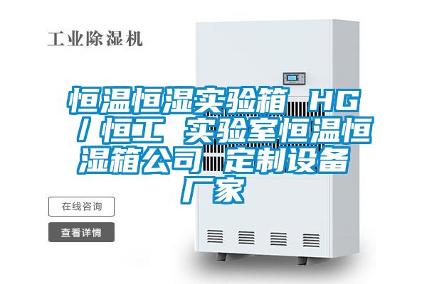 恒溫恒濕實驗箱 HG/恒工 實驗室恒溫恒濕箱公司 定制設(shè)備廠家