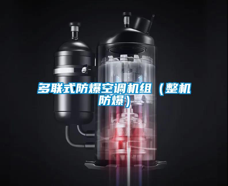 多聯(lián)式防爆空調(diào)機組(整機防爆)