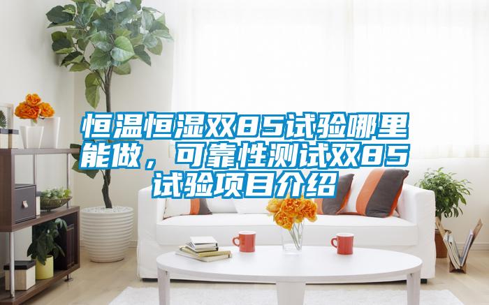 恒溫恒濕雙85試驗?zāi)睦锬茏?，可靠性測試雙85試驗項目介紹