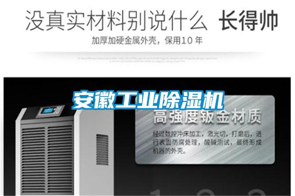 安徽工業(yè)除濕機