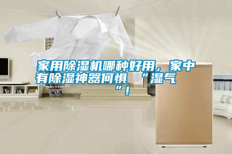 家用除濕機哪種好用，家中有除濕神器何懼 “濕氣 “！