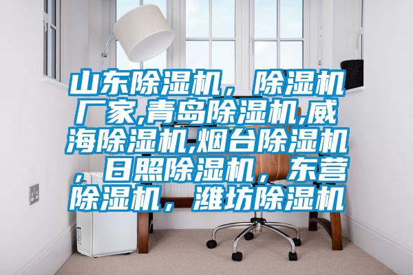 山東除濕機(jī),除濕機(jī)廠家,青島除濕機(jī),威海除濕機(jī),煙臺(tái)除濕機(jī),日照除濕機(jī),東營(yíng)除濕機(jī),濰坊除濕機(jī)