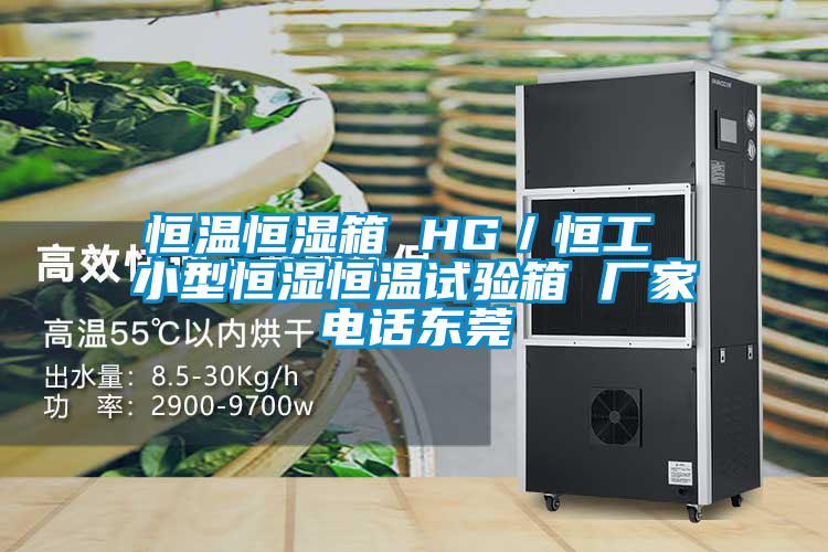 恒溫恒濕箱 HG/恒工 小型恒濕恒溫試驗(yàn)箱 廠家電話東莞