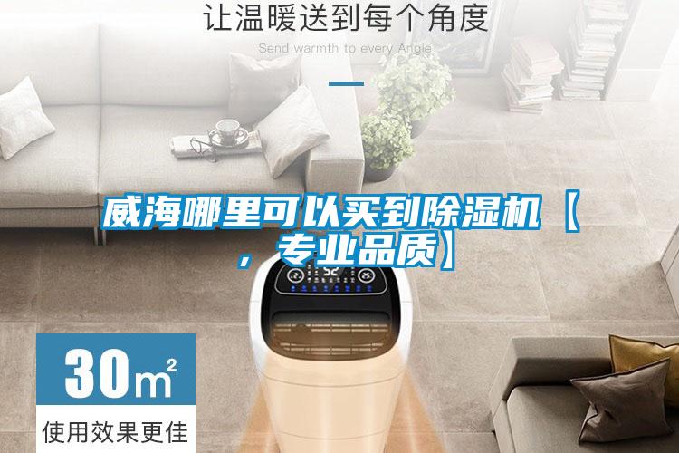 威海哪里可以買到除濕機【,專業(yè)品質】