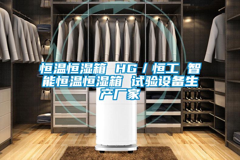 恒溫恒濕箱 HG/恒工 智能恒溫恒濕箱 試驗設(shè)備生產(chǎn)廠家