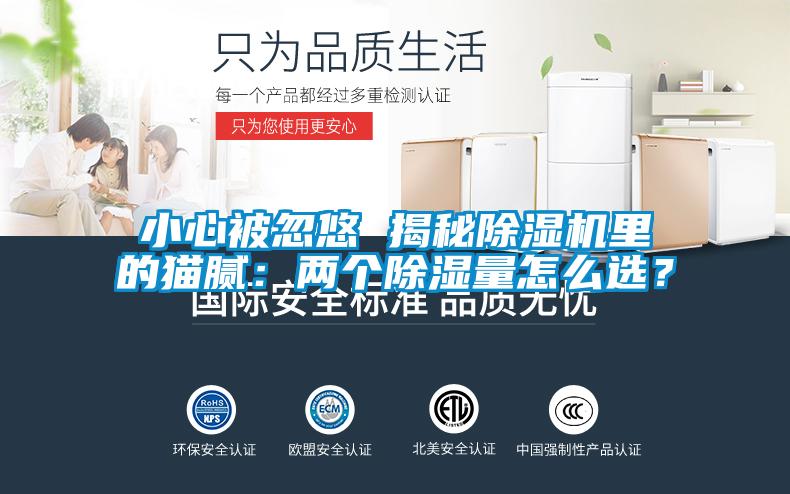 小心被忽悠 揭秘除濕機里的貓膩:兩個除濕量怎么選?