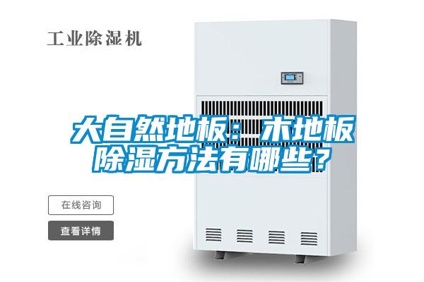 大自然地板：木地板除濕方法有哪些？