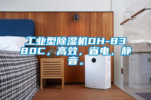 工業型除濕機DH-8380C，高效，省電，靜音。