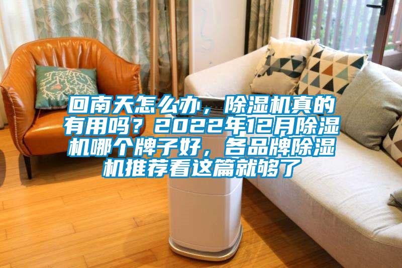 回南天怎么辦，除濕機真的有用嗎？2022年12月除濕機哪個牌子好，各品牌除濕機推薦看這篇就夠了