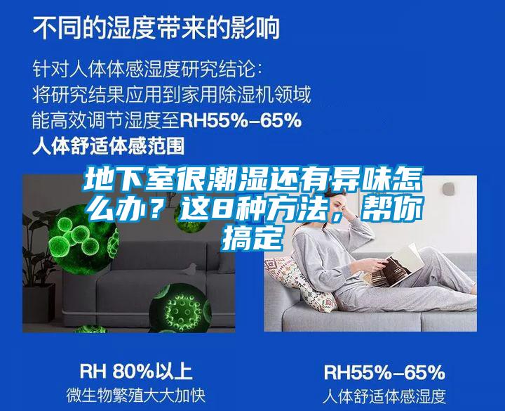 地下室很潮濕還有異味怎么辦?這8種方法,幫你搞定