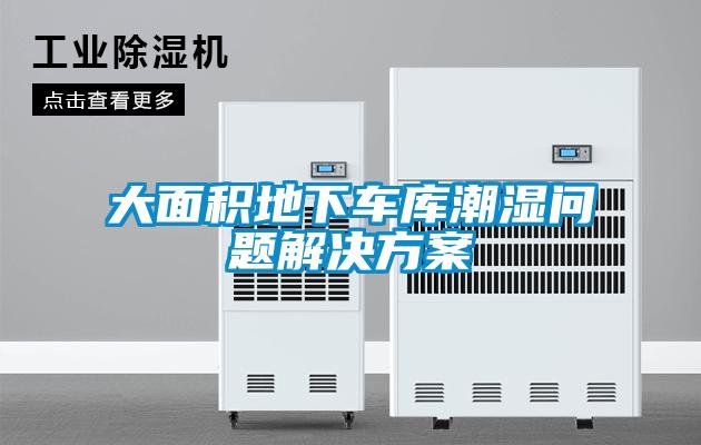 大面積地下車庫(kù)潮濕問題解決方案
