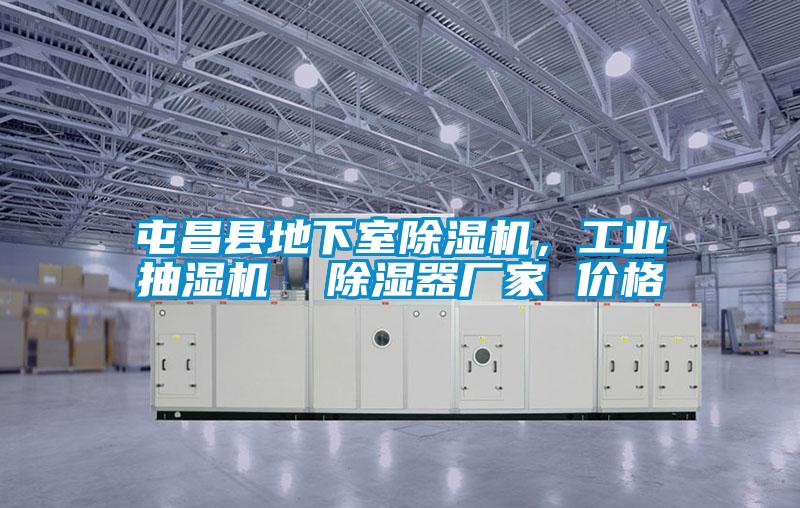 屯昌縣地下室除濕機，工業(yè)抽濕機  除濕器廠家 價格