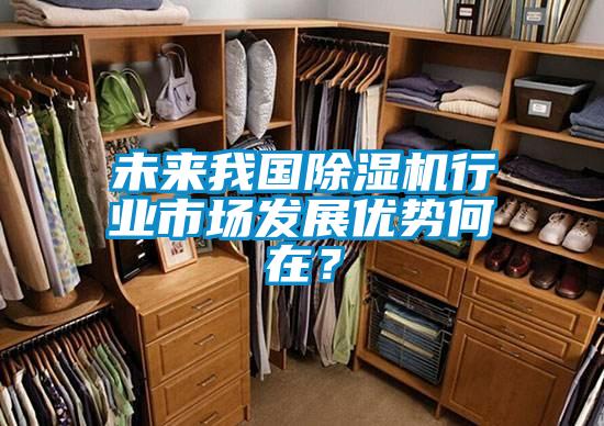 未來我國除濕機行業市場發展優勢何在？
