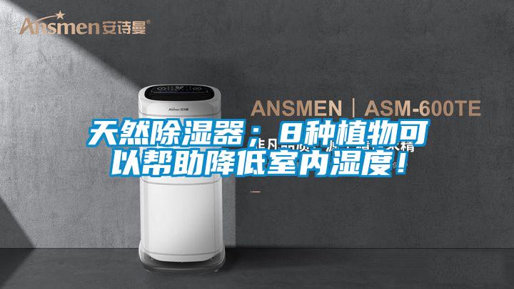 天然除濕器；8種植物可以幫助降低室內(nèi)濕度！
