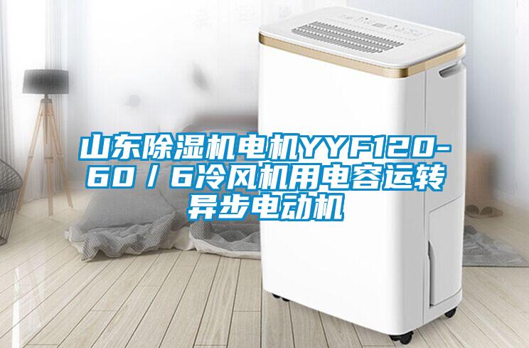 山東除濕機(jī)電機(jī)YYF120-60/6冷風(fēng)機(jī)用電容運(yùn)轉(zhuǎn)異步電動(dòng)機(jī)