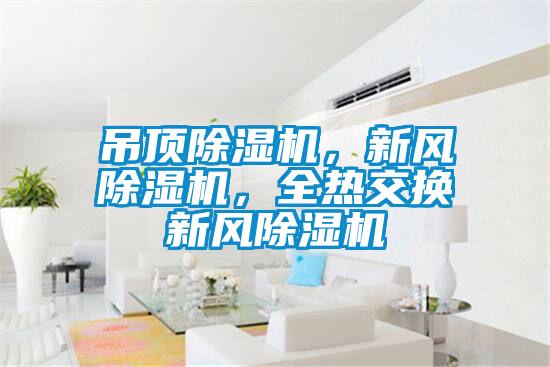 吊頂除濕機,新風除濕機,全熱交換新風除濕機