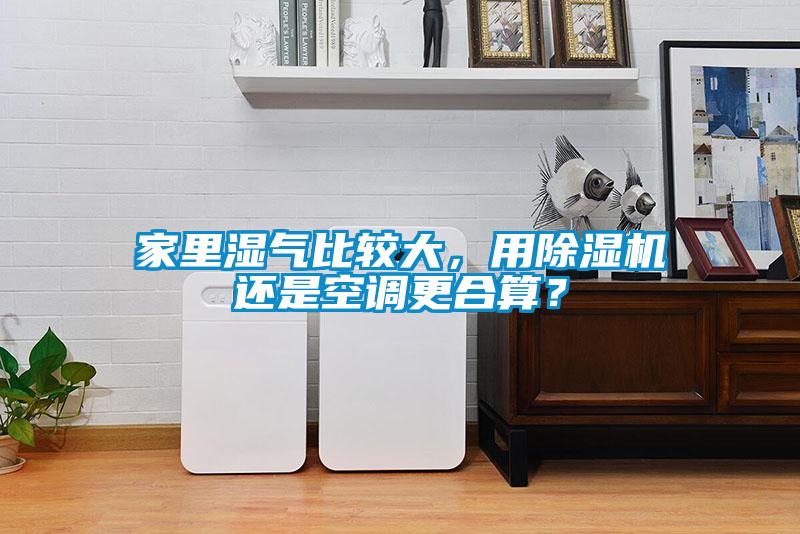 家里濕氣比較大，用除濕機(jī)還是空調(diào)更合算？
