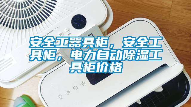 安全工器具柜,安全工具柜,電力自動除濕工具柜價格