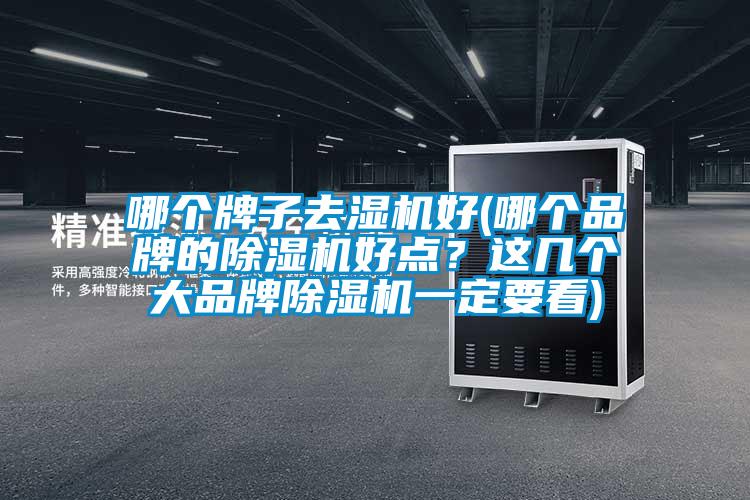 哪個牌子去濕機好(哪個品牌的除濕機好點?這幾個大品牌除濕機一定要看)