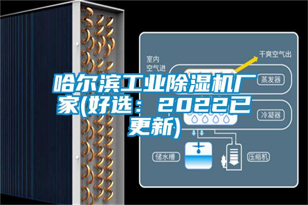 哈爾濱工業(yè)除濕機(jī)廠(chǎng)家(好選：2022已更新)