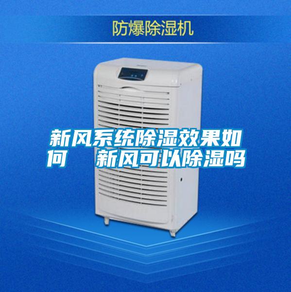 新風(fēng)系統(tǒng)除濕效果如何 新風(fēng)可以除濕嗎
