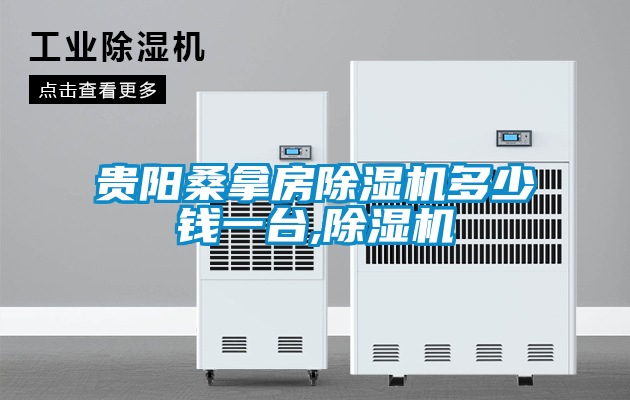 貴陽桑拿房除濕機(jī)多少錢一臺,除濕機(jī)
