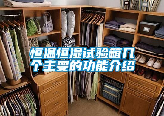 恒溫恒濕試驗(yàn)箱幾個主要的功能介紹