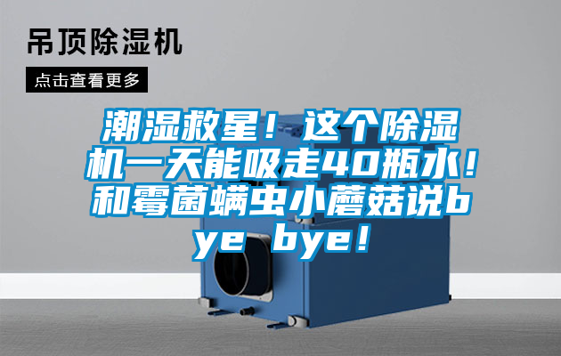 潮濕救星！這個除濕機一天能吸走40瓶水！和霉菌螨蟲小蘑菇說bye bye！