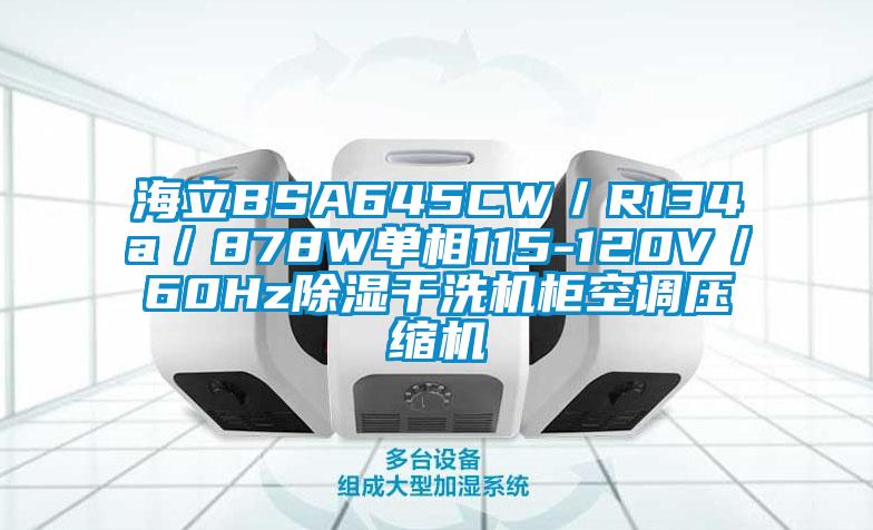 海立BSA645CW/R134a/878W單相115-120V/60Hz除濕干洗機(jī)柜空調(diào)壓縮機(jī)
