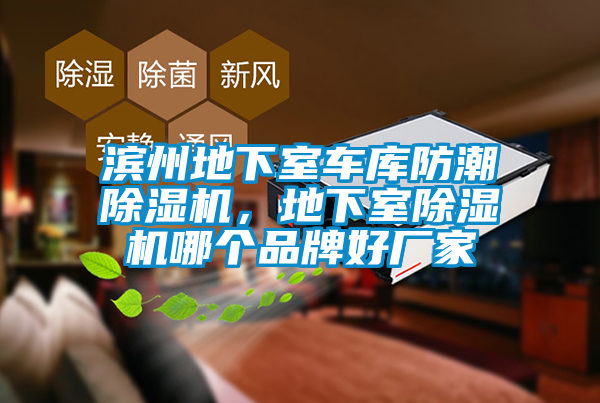 濱州地下室車庫防潮除濕機(jī),地下室除濕機(jī)哪個(gè)品牌好廠家