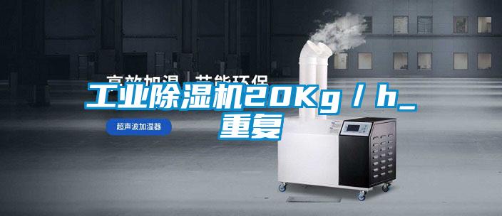 工業除濕機20Kg/h_重復