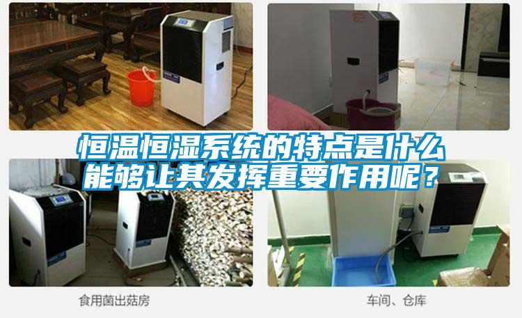 恒溫恒濕系統的特點是什么能夠讓其發揮重要作用呢？