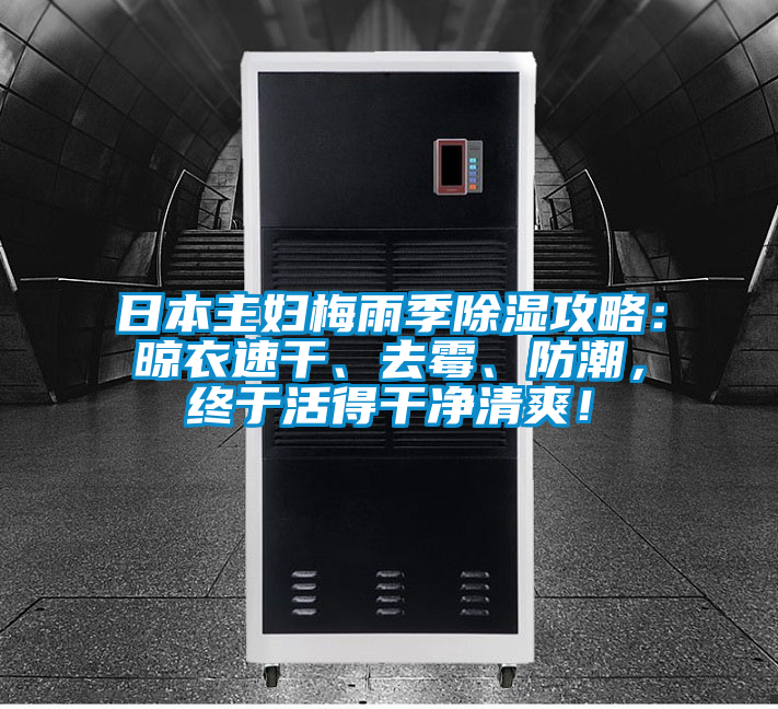 日本主婦梅雨季除濕攻略：晾衣速干、去霉、防潮，終于活得干凈清爽！