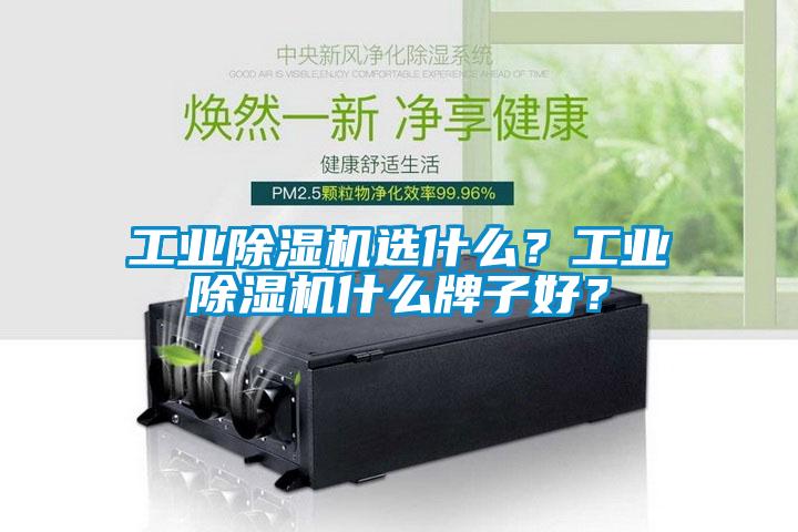 工業除濕機選什么？工業除濕機什么牌子好？