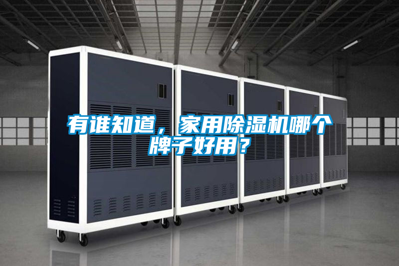 有誰知道,家用除濕機哪個牌子好用?